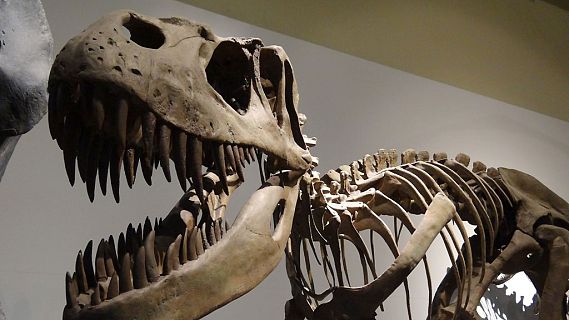 A hombros de gigantes