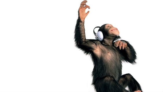 Animales y medio ambiente