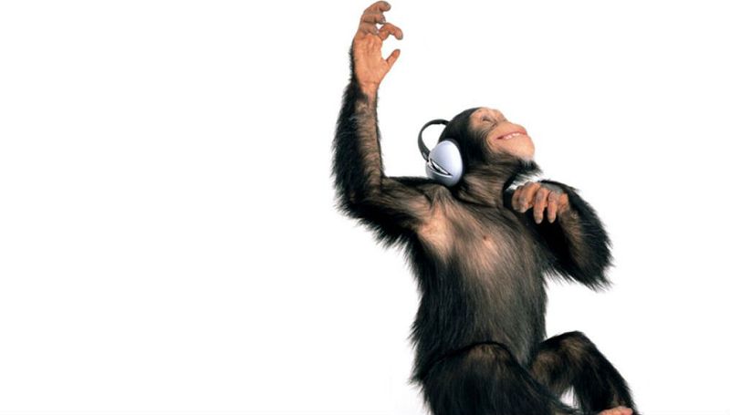 Animales y medio ambiente -  Animales y música - 19/11/16 - Escuchar ahora 