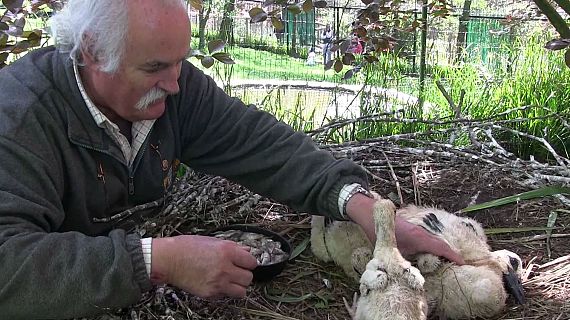 Animales y medio ambiente