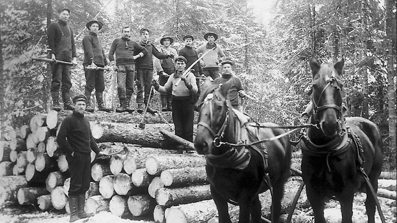 Esto me suena. Las tardes del Ciudadano García - Los antiguos oficios del campo español, recogidos en un libro - Escuchar ahora