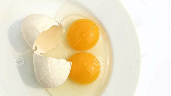 Animales y medio ambiente