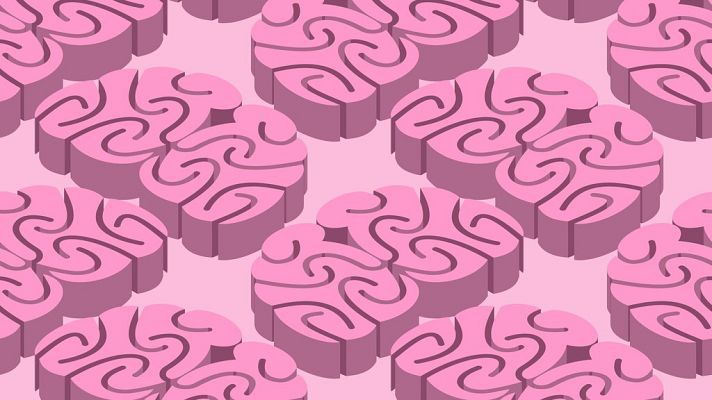 Longitud de onda - Cerebro y repetición - 30/12/16 - escuchar ahora