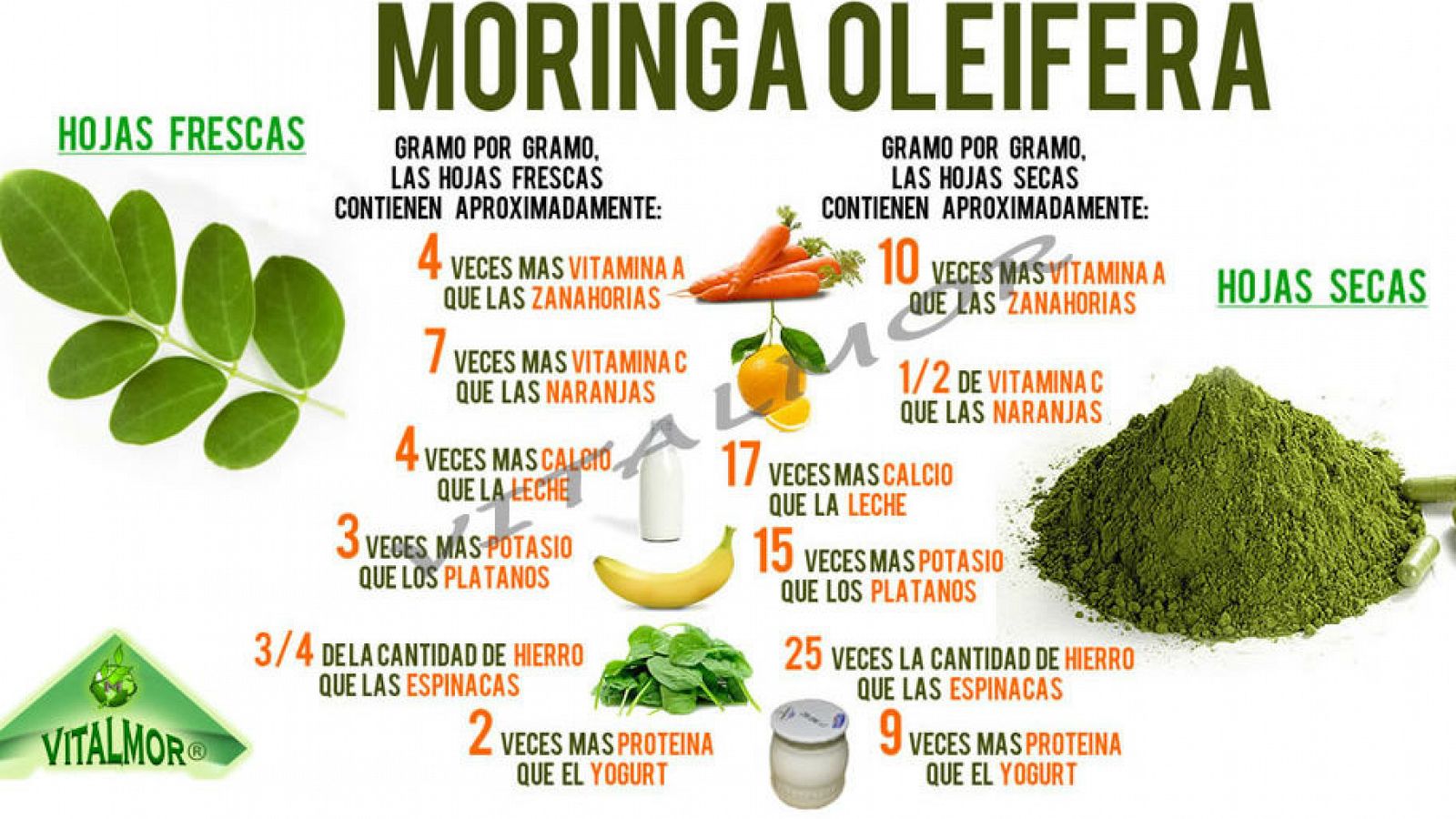 Un laboratorio en mi cocina -  Ygua Moringa oleífera - 22/01/17 - Escuchar ahora