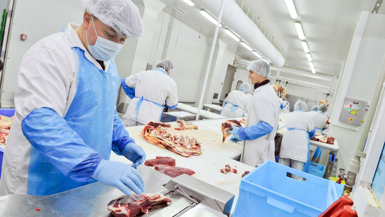 El mundo de la carne -  La industria cárnica y la seguridad alimentaria - 04/02/17 - Escuchar ahora