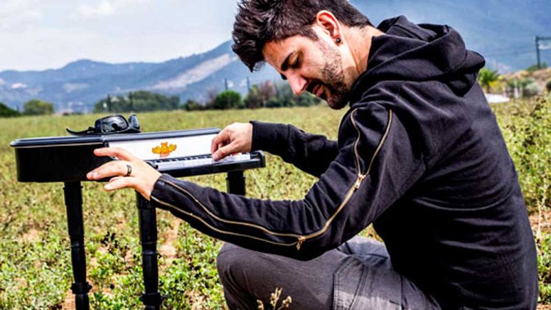 El canto del grillo - La historia de la música según Abel Jazz - Escuchar ahora