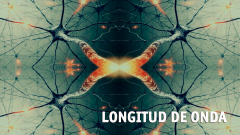 Longitud de onda - Neuronas espejo - 24/02/17