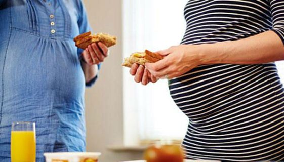 El mundo de la carne