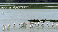 Documentos RNE - Parques Nacionales Españoles, red de biodiversidad - 13/08/18