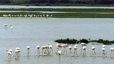 Documentos RNE - Parques Nacionales Españoles, red de biodiversidad - 13/08/18 - escuchar ahora