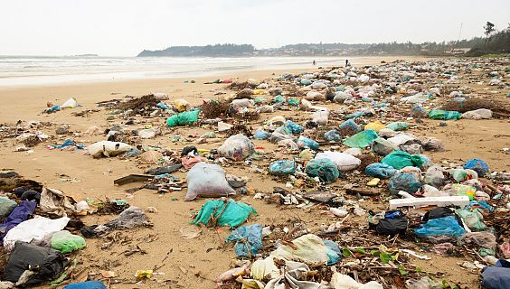 Españoles en la mar