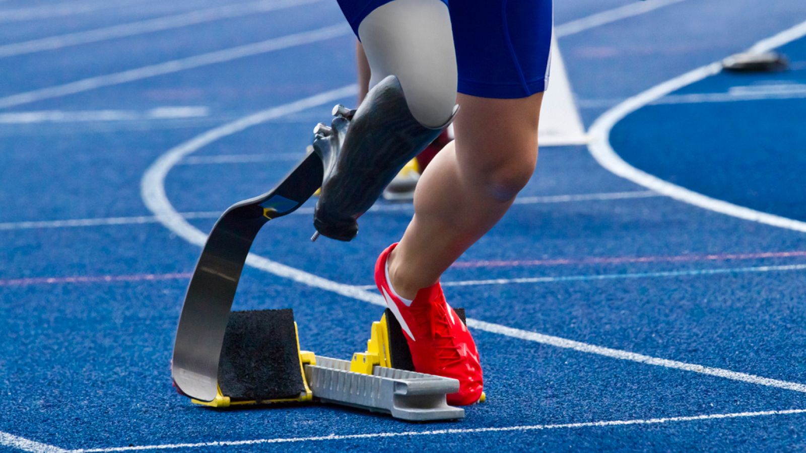 El canto del grillo - En voz alta - Paralímpicos - Escuchar ahora