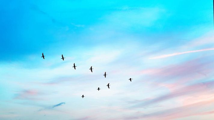 Música y significado - DVORAK: Octava Sinfonía - 07/04/17 - escuchar ahora