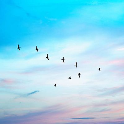 Música y significado - DVORAK: Octava Sinfonía - 07/04/17 - escuchar ahora