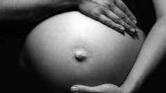 Memoria de delfín - Palabra de madre - 01/05/17