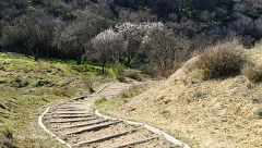 Caminantes - Senda de los almendros - 06/05/17