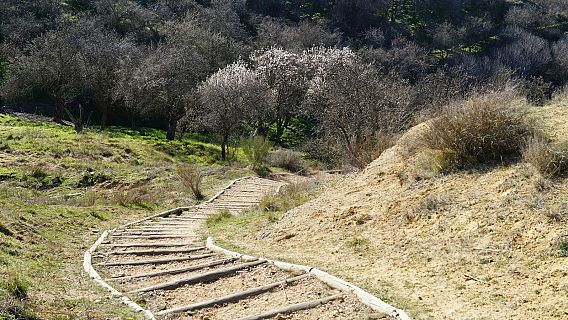 Caminantes