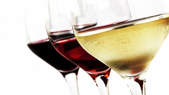 Vivanco, compartiendo cultura del vino
