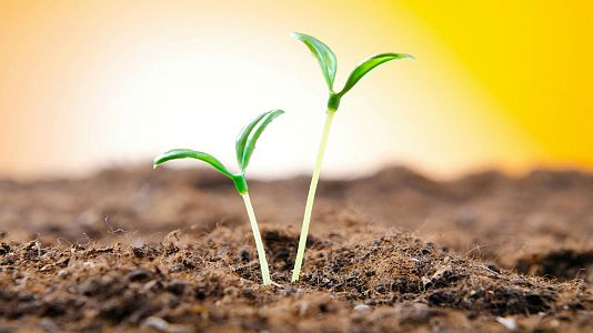 De lo más natural - De lo más natural - Volver a empezar - 14/05/17 - escuchar ahora