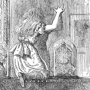 Jardines en el bolsillo - Jardines en el bolsillo - 29/05/17 - Escuchar ahora