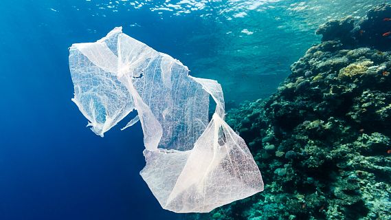 No es un día cualquiera