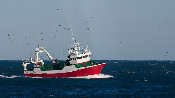 Españoles en la mar