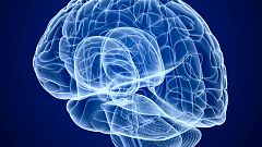 De lo más natural - ¿Se puede cambiar el habla de sitio en el cerebro? - 23/07/17