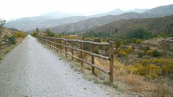 Caminantes