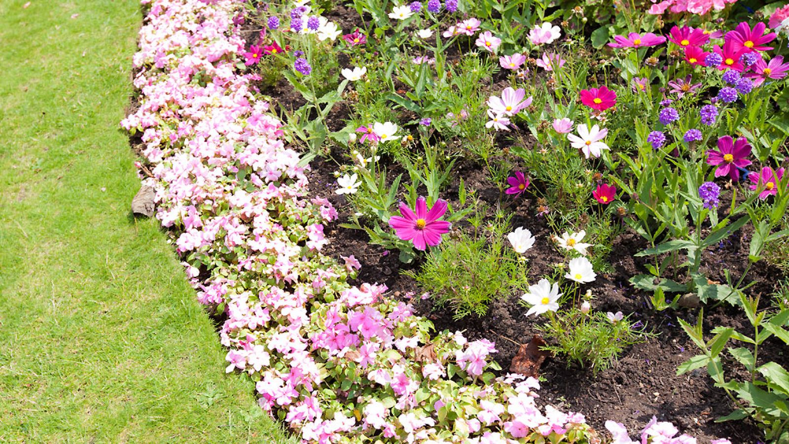 El canto del grillo - El jardín es un lugar de culto - Escuchar ahora