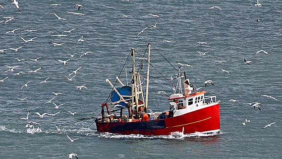 Españoles en la mar