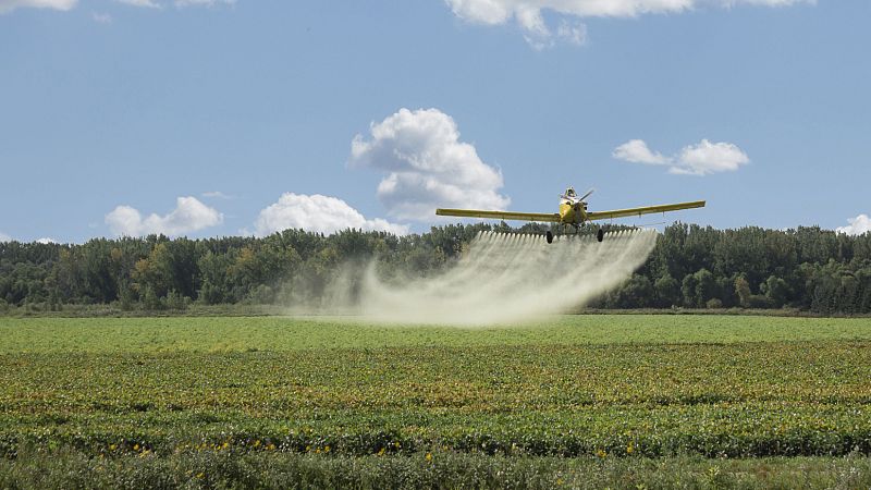Europa abierta - Dudas europeas sobre el glifosato - escuchar ahora