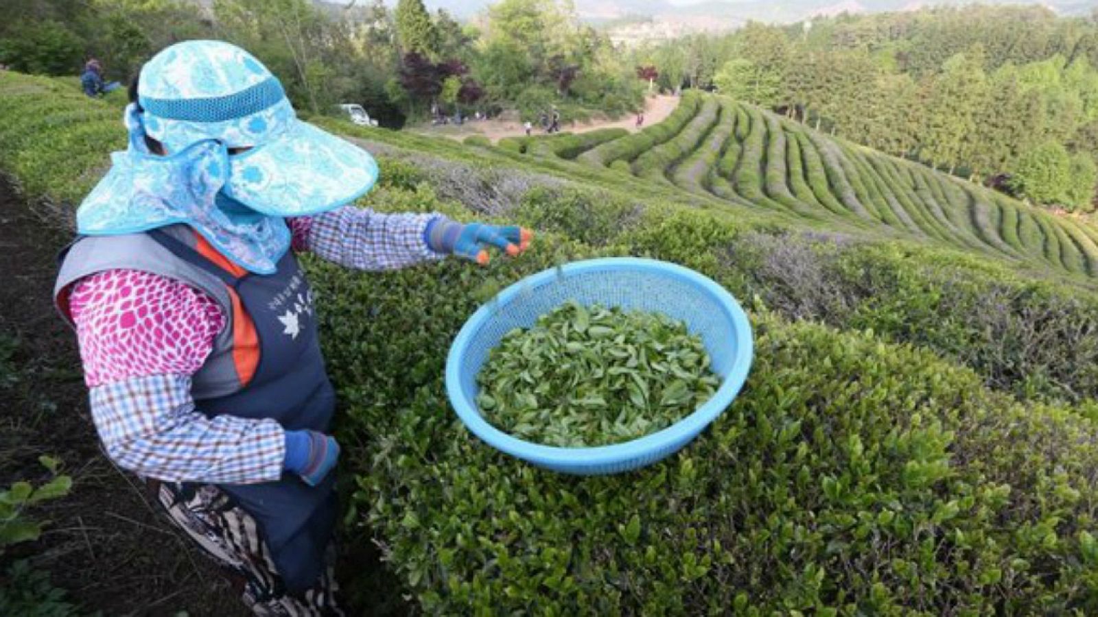 Diez minutos bien empleados - Mujeres rurales, ¿trabajo invisible? - 30/10/17 - Escuchar ahora 