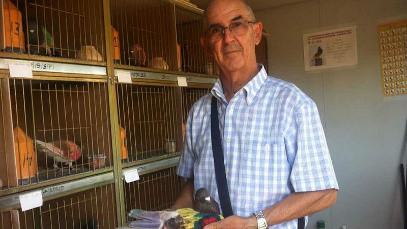 Animales y medio ambiente - Colombofilia - 5/11/17 - Escuchar ahora 