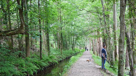 Caminantes