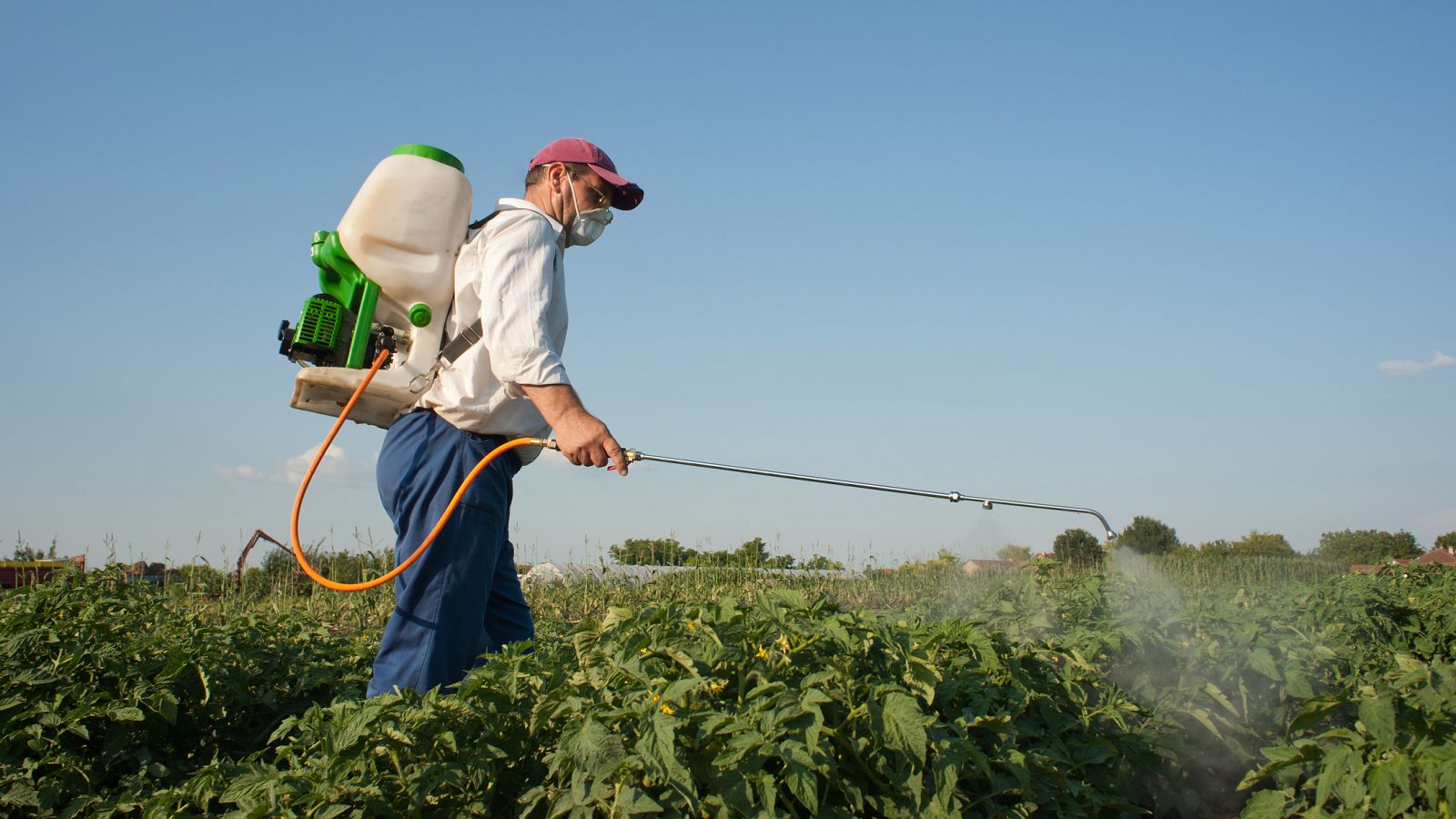  Europa abierta - El Parlamento Europeo pierde la batalla del glifosato - escuchar ahora