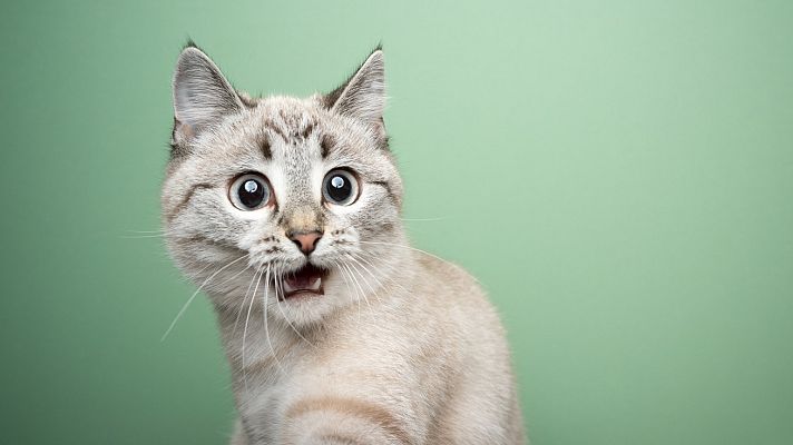 Crescendo - Haydn - La Sorpresa - 02/12/17 - escuchar ahora