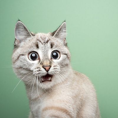 Crescendo - Haydn - La Sorpresa - 02/12/17 - escuchar ahora