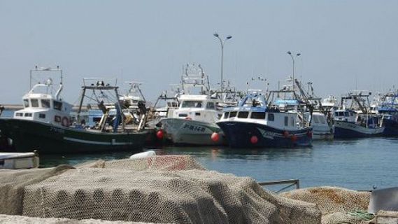 Españoles en la mar