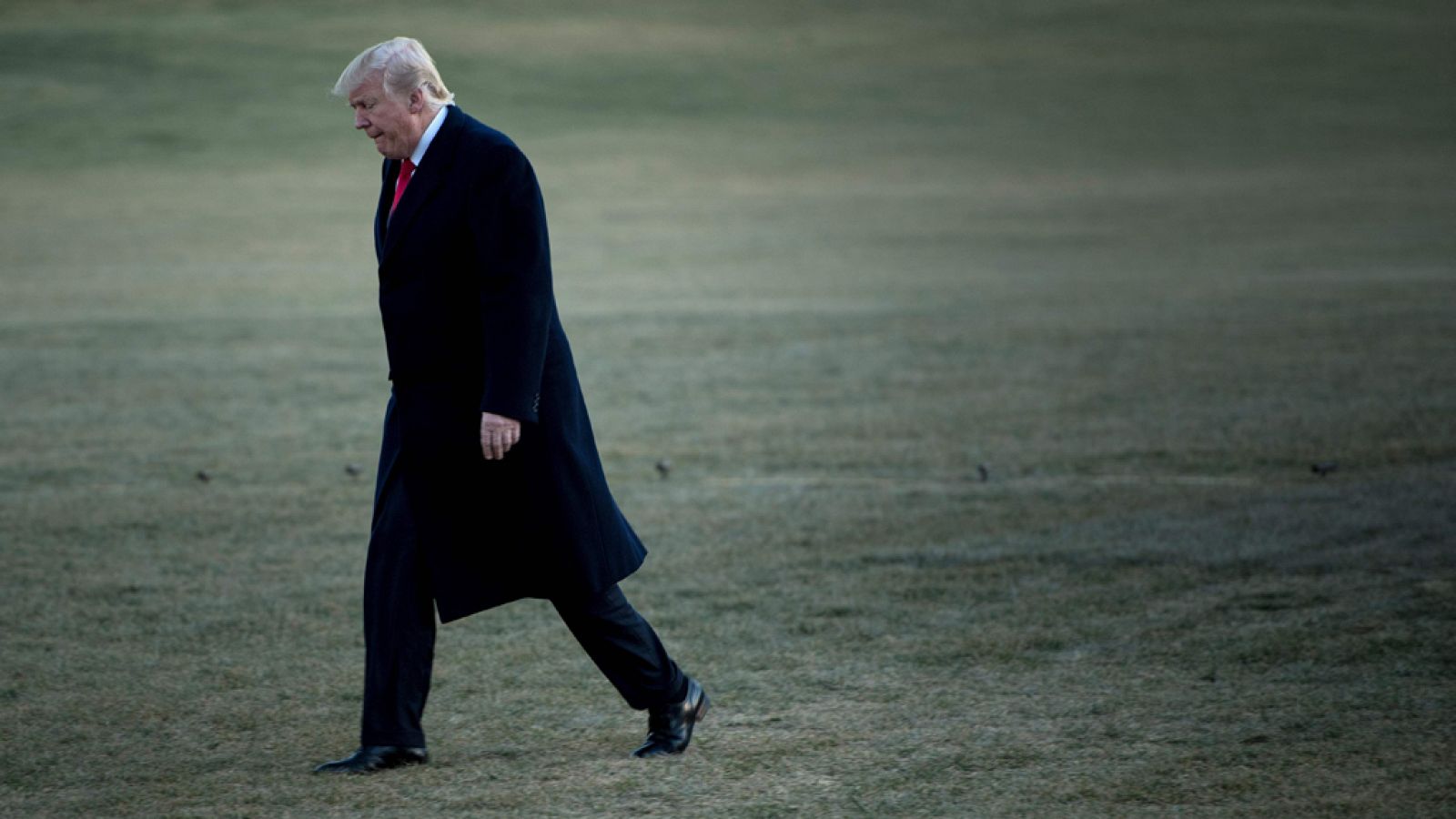 Las mañanas de RNE - El primer año de la era Trump, a examen - Escuchar ahora