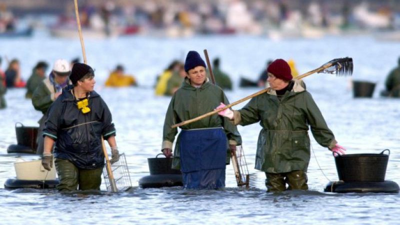 Españoles en la mar en Radio 5 - La mujer y el mar: las rederas - 08/03/18 - Escuchar ahora 