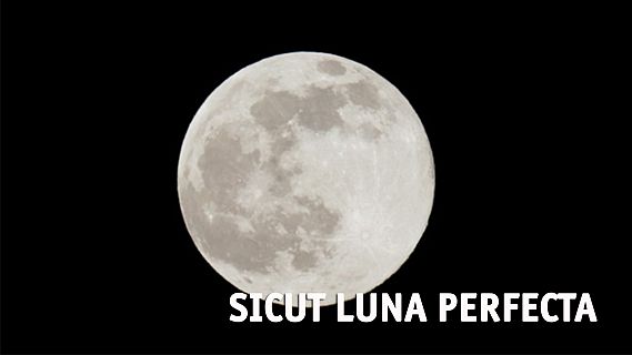 Sicut luna perfecta