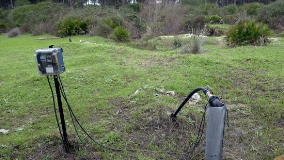 Sostenible y renovable