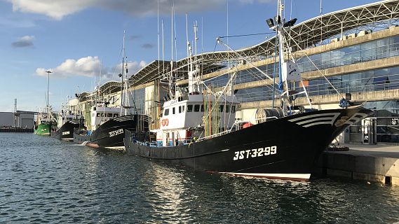 Españoles en la mar