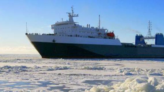 Sostenible y renovable