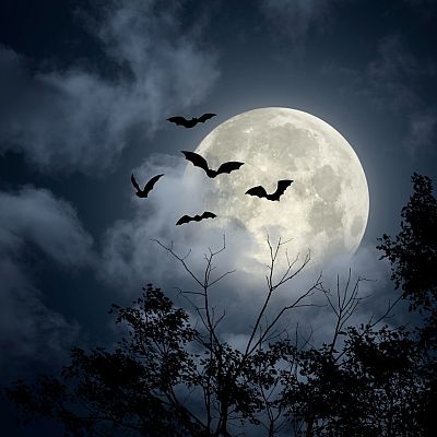 La noche transfigurada - Hoy el terror corre de tu cuenta - 12/05/18 - escuchar ahora