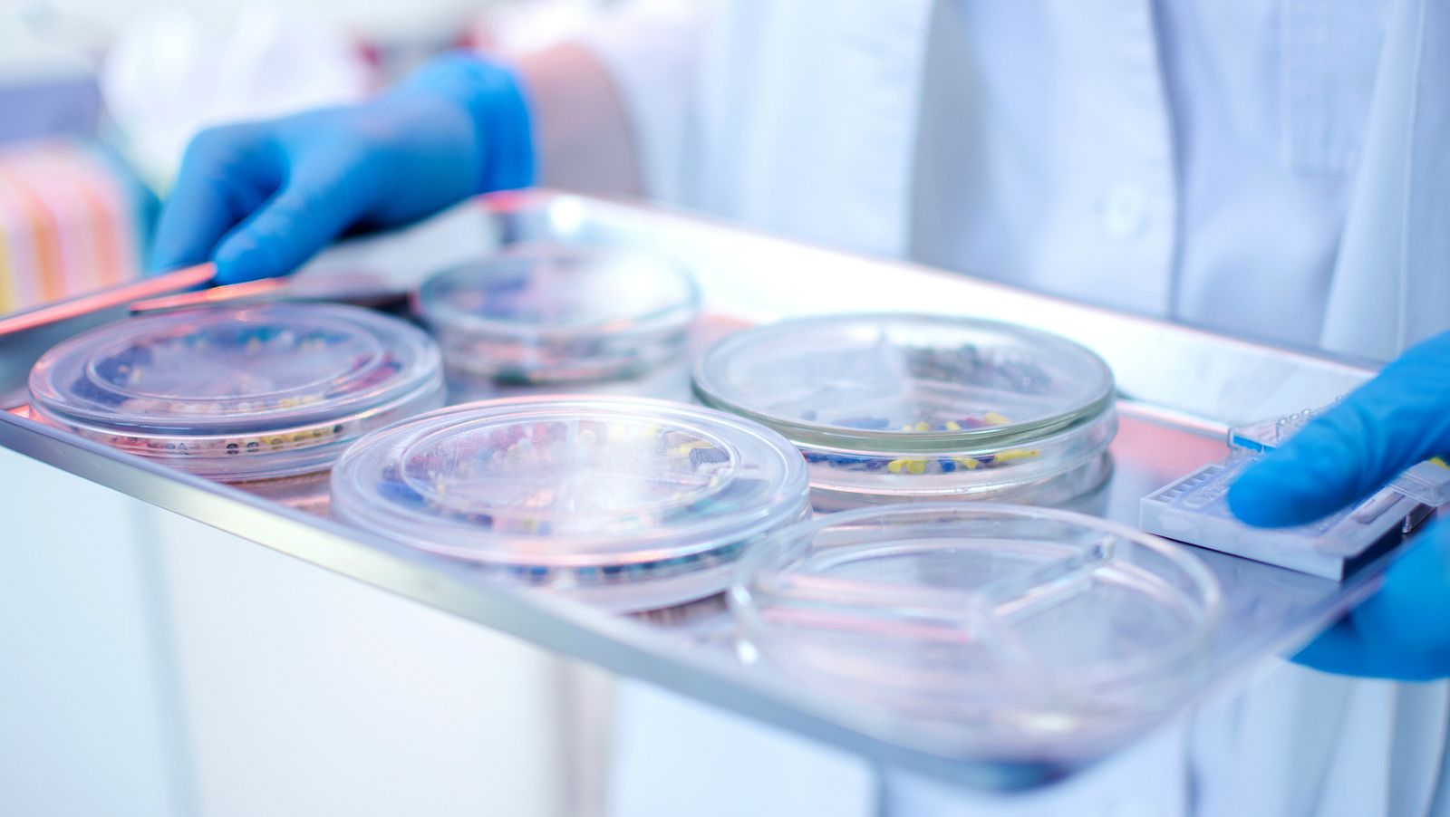 Cruz Roja - Llamamiento conflicto Gaza - 24/05/18 - escuchar ahora 