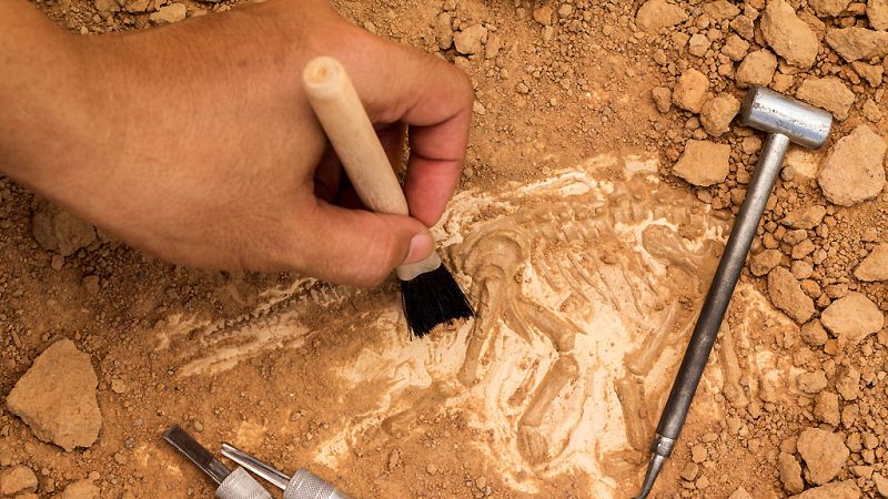 Esto me suena - Cada vez hay menos estudiantes de geología - Escuchar ahora