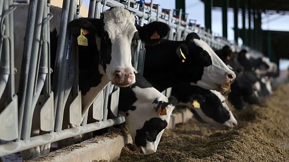 El mundo de la carne - Tecnologías disruptivas en la granja I - 30/6/18