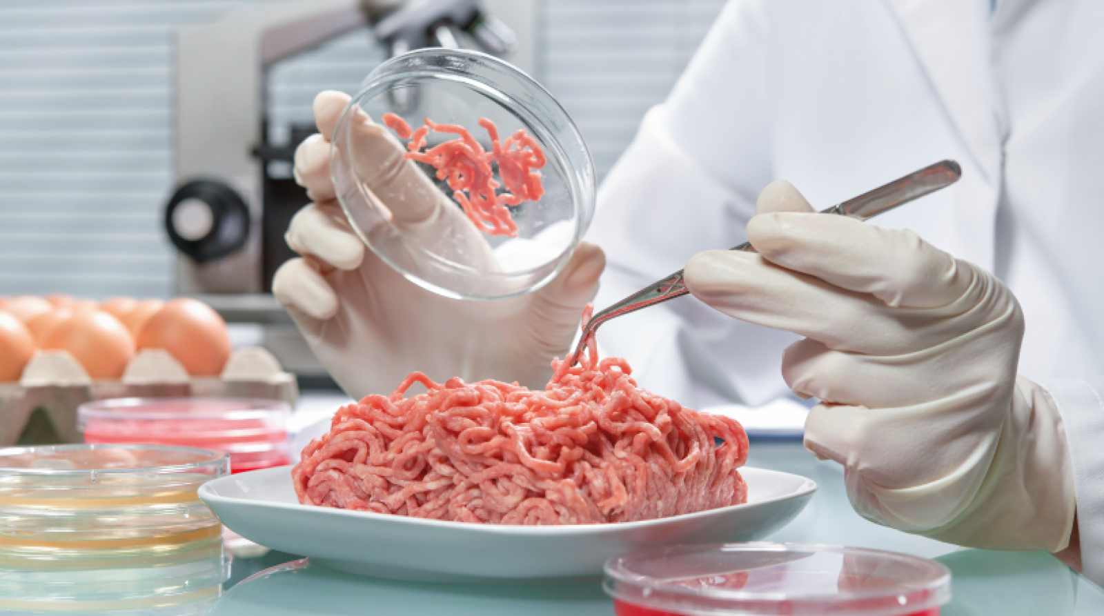 El mundo de la carne - La seguridad alimentaria y el papel de la ciencia - 28/7/18 - Escuchar ahora