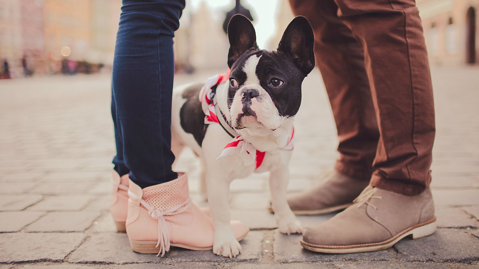 Finanzas para todos los públicos (FUNCAS) - Mascotas - 30/07/18 - Escuchar ahora